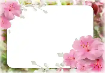 PhotoEffect da categoria Molduras para fotografias femininas № 131609
