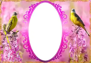PhotoEffect da categoria Molduras para fotografias femininas № 132879