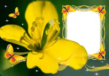 PhotoEffect da categoria Molduras para fotografias femininas № 132883