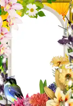 PhotoEffect da categoria Molduras para fotografias femininas № 133075