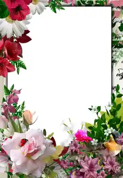 PhotoEffect da categoria Molduras para fotografias femininas № 133076