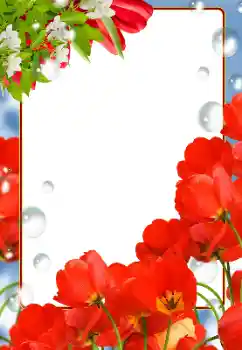PhotoEffect da categoria Molduras para fotografias femininas № 133081 PhotoEffect da categoria Molduras para fotografias femininas № 133081