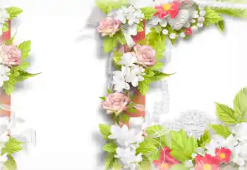 PhotoEffect da categoria Molduras para fotografias femininas № 133085 PhotoEffect da categoria Molduras para fotografias femininas № 133085