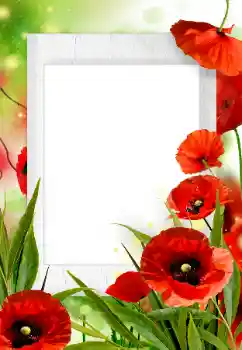 PhotoEffect da categoria Molduras para fotografias femininas № 133252 PhotoEffect da categoria Molduras para fotografias femininas № 133252
