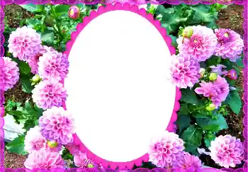 PhotoEffect da categoria Molduras para fotografias femininas № 135504 PhotoEffect da categoria Molduras para fotografias femininas № 135504