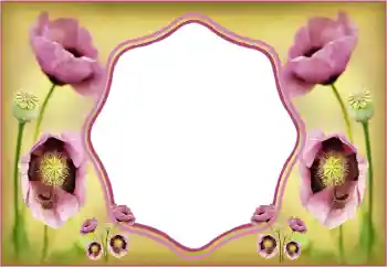 PhotoEffect da categoria Molduras para fotografias femininas № 135508 PhotoEffect da categoria Molduras para fotografias femininas № 135508