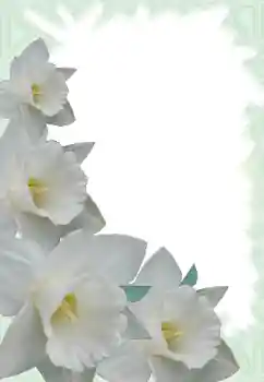 PhotoEffect da categoria Molduras para fotografias femininas № 13900