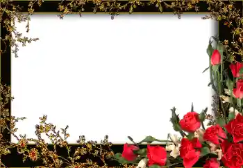 PhotoEffect da categoria Molduras para fotografias femininas № 13953 PhotoEffect da categoria Molduras para fotografias femininas № 13953