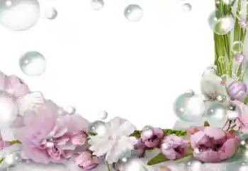 PhotoEffect da categoria Molduras para fotografias femininas № 139757