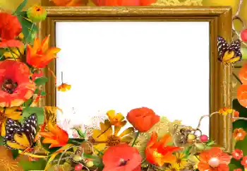 PhotoEffect da categoria Molduras para fotografias femininas № 139911