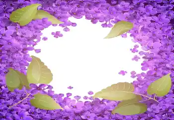 PhotoEffect da categoria Molduras para fotografias femininas № 141055