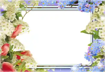 PhotoEffect da categoria Molduras para fotografias femininas № 141146