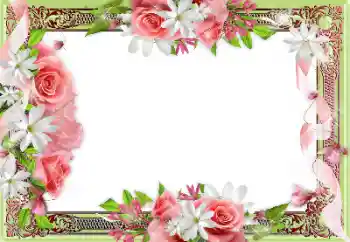 PhotoEffect da categoria Molduras para fotografias femininas № 141157 PhotoEffect da categoria Molduras para fotografias femininas № 141157