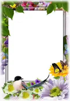 PhotoEffect da categoria Molduras para fotografias femininas № 142332 PhotoEffect da categoria Molduras para fotografias femininas № 142332