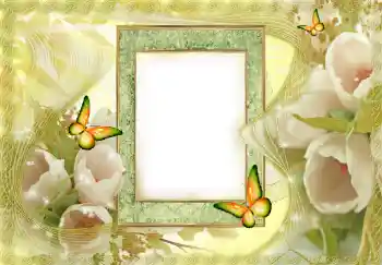PhotoEffect da categoria Molduras para fotografias femininas № 144841 PhotoEffect da categoria Molduras para fotografias femininas № 144841