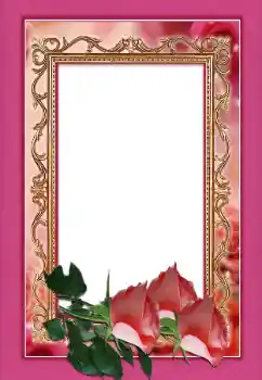 PhotoEffect da categoria Molduras para fotografias femininas № 146366 PhotoEffect da categoria Molduras para fotografias femininas № 146366