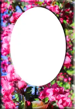 PhotoEffect da categoria Molduras para fotografias femininas № 147641 PhotoEffect da categoria Molduras para fotografias femininas № 147641