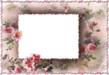 PhotoEffect da categoria Molduras para fotografias femininas № 147733 PhotoEffect da categoria Molduras para fotografias femininas № 147733