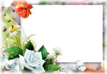 PhotoEffect da categoria Molduras para fotografias femininas № 147740 PhotoEffect da categoria Molduras para fotografias femininas № 147740
