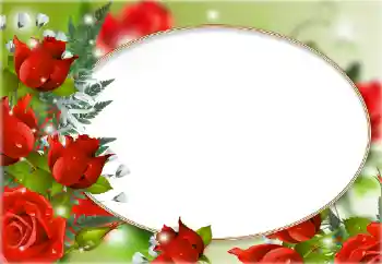 PhotoEffect da categoria Molduras para fotografias femininas № 148994 PhotoEffect da categoria Molduras para fotografias femininas № 148994
