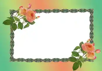 PhotoEffect da categoria Molduras para fotografias femininas № 149186 PhotoEffect da categoria Molduras para fotografias femininas № 149186