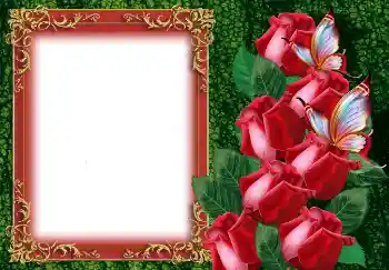 PhotoEffect da categoria Molduras para fotografias femininas № 149219 PhotoEffect da categoria Molduras para fotografias femininas № 149219