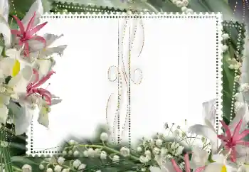 PhotoEffect da categoria Molduras para fotografias femininas № 15027