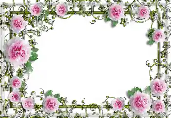 PhotoEffect da categoria Molduras para fotografias femininas № 150641 PhotoEffect da categoria Molduras para fotografias femininas № 150641