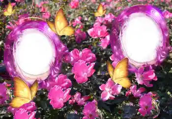 PhotoEffect da categoria Molduras para fotografias femininas № 151815