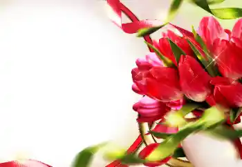 PhotoEffect da categoria Molduras para fotografias femininas № 153228