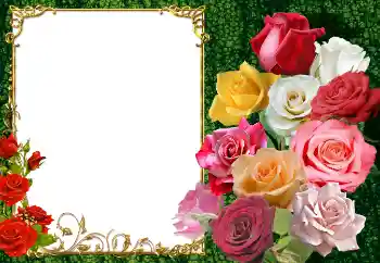 PhotoEffect da categoria Molduras para fotografias femininas № 154447 PhotoEffect da categoria Molduras para fotografias femininas № 154447