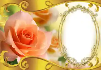 PhotoEffect da categoria Molduras para fotografias femininas № 154573 PhotoEffect da categoria Molduras para fotografias femininas № 154573