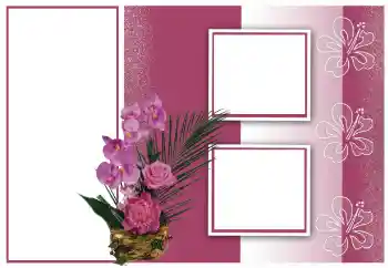 PhotoEffect da categoria Molduras para fotografias femininas № 154581 PhotoEffect da categoria Molduras para fotografias femininas № 154581
