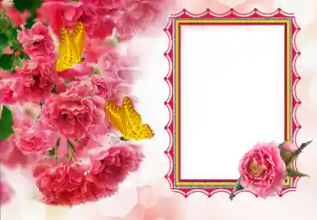 PhotoEffect da categoria Molduras para fotografias femininas № 155792 PhotoEffect da categoria Molduras para fotografias femininas № 155792