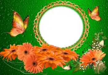 PhotoEffect da categoria Molduras para fotografias femininas № 155817 PhotoEffect da categoria Molduras para fotografias femininas № 155817