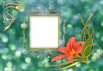 PhotoEffect da categoria Molduras para fotografias femininas № 155869 PhotoEffect da categoria Molduras para fotografias femininas № 155869