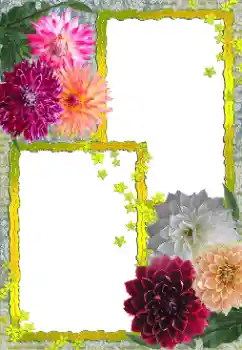 PhotoEffect da categoria Molduras para fotografias femininas № 155888