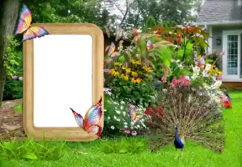 PhotoEffect da categoria Molduras para fotografias femininas № 155936