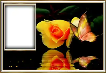 PhotoEffect da categoria Molduras para fotografias femininas № 155958
