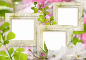 PhotoEffect da categoria Molduras para fotografias femininas № 155999