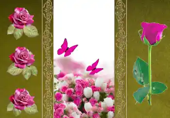 PhotoEffect da categoria Molduras para fotografias femininas № 156050