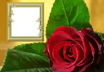 PhotoEffect da categoria Molduras para fotografias femininas № 157088