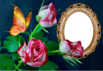 PhotoEffect da categoria Molduras para fotografias femininas № 157089