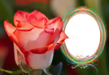 PhotoEffect da categoria Molduras para fotografias femininas № 157090