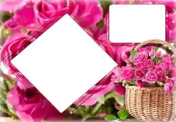 PhotoEffect da categoria Molduras para fotografias femininas № 157091