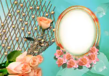 PhotoEffect da categoria Molduras para fotografias femininas № 157126