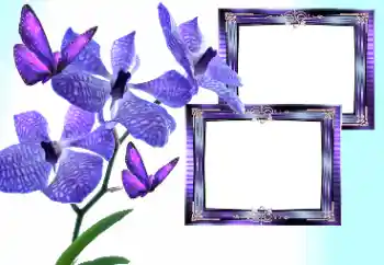 PhotoEffect da categoria Molduras para fotografias femininas № 157133