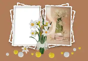 PhotoEffect da categoria Molduras para fotografias femininas № 158348 PhotoEffect da categoria Molduras para fotografias femininas № 158348