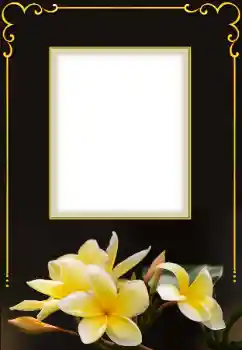 PhotoEffect da categoria Molduras para fotografias femininas № 158432 PhotoEffect da categoria Molduras para fotografias femininas № 158432