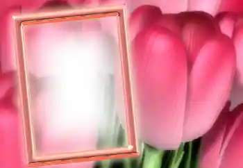 PhotoEffect da categoria Molduras para fotografias femininas № 15899